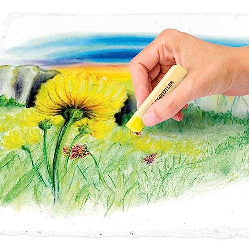 Staedtler Karat Premium Quality Soft Pastel Chalks. 2430C36 - size: 36 Count (Pack of 1)