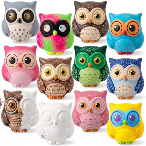 Ferrochef 12 Pack Paint Your Own Ceramic Owl DIY Craft Kits Unpainted Ceramic Owl Bisque 3D Paintable Animal Figurines Art DIY Party Favors for Home, Classroom Birthday Parties - style: Owl