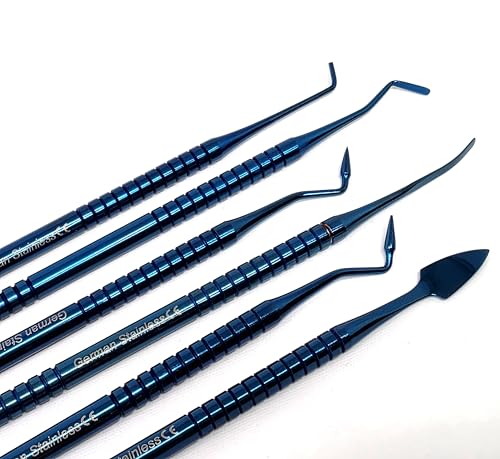 Composite Dental Set of 6 pcs Restorative Plastic Filling Restoration Preparation Carvers Contouring Plugger Ball Burnisher Tooth Cavity Various Decay Removal Double Ended Instruments (Blue) - color: Blue
