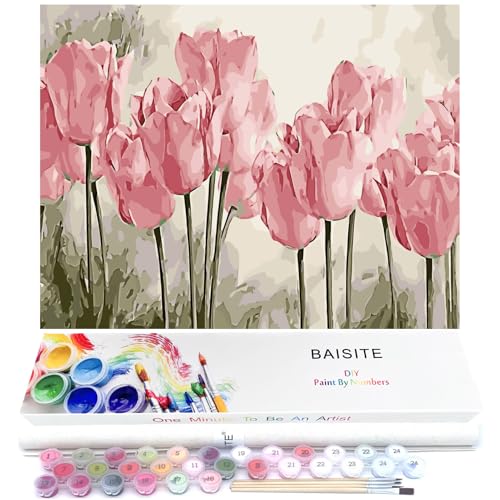 BAISITE Paint by Numbers Kit for Adults Beginners,20" Wx16 L Canvas for Painting Kits for Adults in Colorful Box Poppy Flowers-BSC002 - color: HXL-BSC002-2, size: Without Frame(20"X16")
