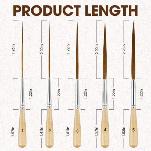 5Pcs Long Liner Brushes - Ox Ear Hair Detail Paint Brushes Extra Long Fine Point | Pinstriping, Scroll Outlining for Watercolor, Acrylic, Oil & Pro Artists