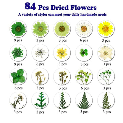 84 Pcs Green Dried Pressed Flowers Real Natural Leave for DIY Resin Molds Candle Jewelry Nail Crafts Gifts - color: Green