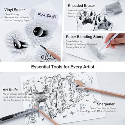 KALOUR 29 Pro Sketching Drawing Pencils Set with Roll-Up Nylon Case – 14 Graphite Pencils (14B–5H), Charcoal Pencils, Erasers, Sharpener & Stumps – Complete Art Kit for Artists & Beginner
