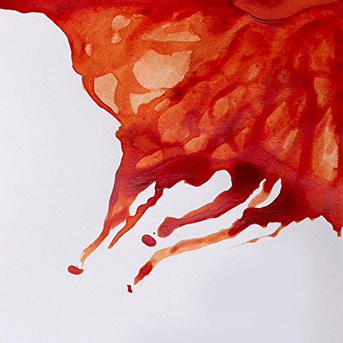 Winsor & Newton Drawing Ink, 14ml Bottle, Burnt Sienna - color: Burnt Sienna, style: 14ml Bottle