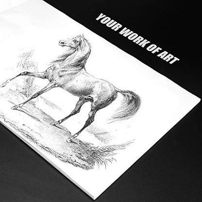 Bachmore 9”x12” Artist’s Tracing Paper Pad, 75 Sheets – Translucent Tracing Paper for Pencil, Marker and Ink - Trace Images, Sketch, Preliminary Drawing, Overlays 32 LB / 50 GSM (Pack of 2) - size: 9 X 12 (Pack of 2)