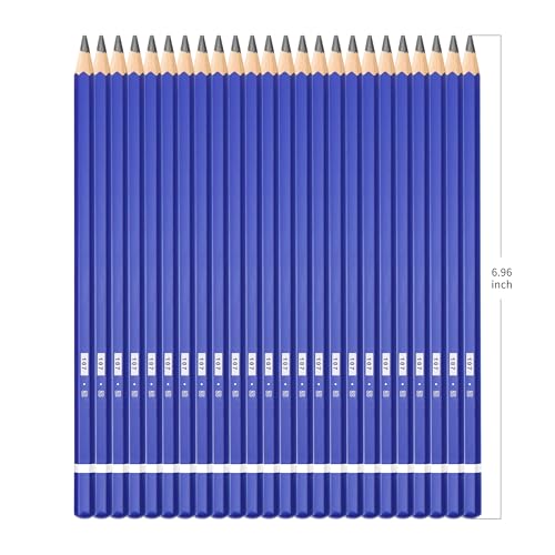 XDT#8B Drawing Pencils 24 Piece Set, Pro Art Graphite Sketching&Shading Supplies, Ideal For Kid Beginner Student Adults Artist - color: 8B 25 Pc Set