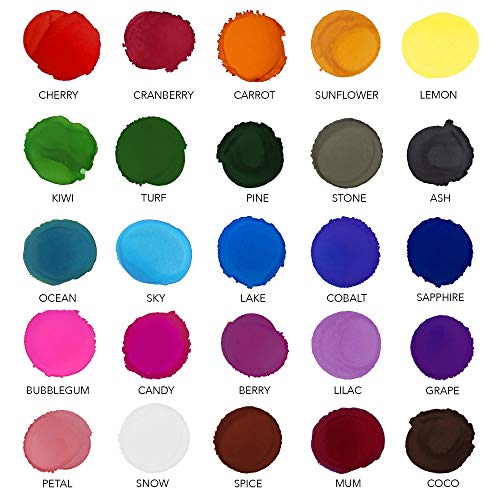 Pixiss Alcohol Ink Set - 25 Large Highly Saturated Colors - (15ml/.5oz), Alcohol Ink Storage Carrying Case Organizer by Pixiss, Stores 30x 0.5-Ounce Bottles of Alcohol Ink