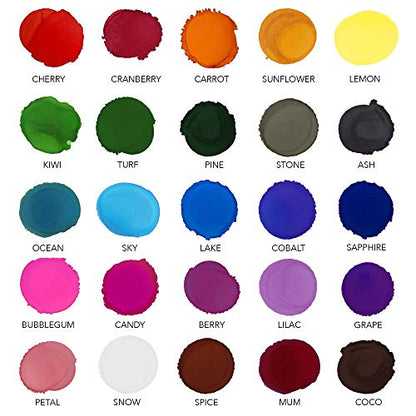 Pixiss Alcohol Ink Set - 25 Large Highly Saturated Colors - (15ml/.5oz), Alcohol Ink Storage Carrying Case Organizer by Pixiss, Stores 30x 0.5-Ounce Bottles of Alcohol Ink