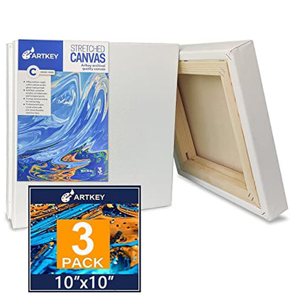 Gallery Wrapped Stretched Canvases for Painting 10x10 Inch 3-Pack, 16 oz Triple Primed Acid-Free 100% Cotton Blank Canvas, Square Spline Canvas for Oil Paint Acrylics Pouring & Wet Art Media - size: 10"x10"(3-Pack), style: Exhibition