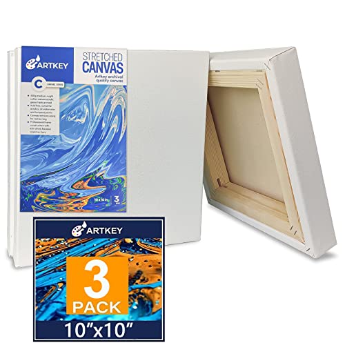 Gallery Wrapped Stretched Canvases for Painting 10x10 Inch 3-Pack, 16 oz Triple Primed Acid-Free 100% Cotton Blank Canvas, Square Spline Canvas for Oil Paint Acrylics Pouring & Wet Art Media - size: 10"x10"(3-Pack), style: Exhibition