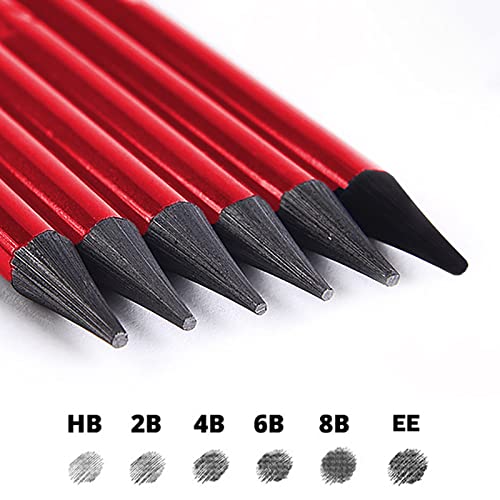 Woodless Graphite Pencil 6 Pack Set, HB, 2B, 4B, 6B, 8B, EE for Sketching, Drawing, Coloring and Shading, Gift for Artist, Hobbyist, Beginner
