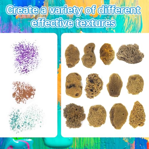 Natural Sea & Synthetic Sponges - Assorted Sizes 12pc Value Pack for Crafts & Artists: Multi - Purpose Art Supply for Professional Painting, Ceramics, Clay & Pottery Projects (12)