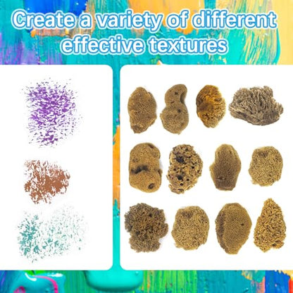 Natural Sea & Synthetic Sponges - Assorted Sizes 12pc Value Pack for Crafts & Artists: Multi - Purpose Art Supply for Professional Painting, Ceramics, Clay & Pottery Projects (12)
