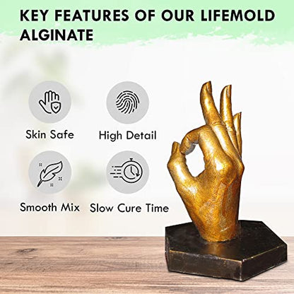 LifeMold Alginate Molding Powder for Hand Casting, Life Casting, Baby Molding Kit, Couples Casting - Non-Toxic Casting - 1lb (454g)
