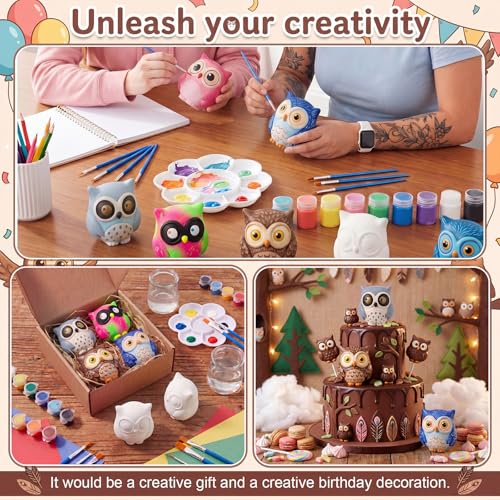 Ferrochef 12 Pack Paint Your Own Ceramic Owl DIY Craft Kits Unpainted Ceramic Owl Bisque 3D Paintable Animal Figurines Art DIY Party Favors for Home, Classroom Birthday Parties - style: Owl