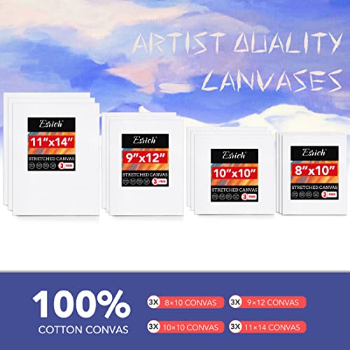 ESRICH Professional Acrylic Paint Set, 60PCS with Painting Brushes,Acrylic Paints,Easel,4 Sizes Blank Canvases,Palette, Paint Knives,Brush Cup and Art Sponges for Adults Hobbyists and Beginners - style: 60