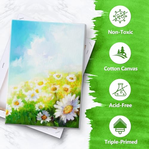 12 Pack Stretched Canvases for Painting, Multi Size Canvas 11x14, 8x10, 5x7, 4x4, Round Canvas with 8x8,10x10, Cotton Primed Paint Blank Canvas for Oil Paint, Acrylic Paint, for Beginners, Artists. - size: 4x4in,5x7in,8x10in,11x14in,D8in,D10in