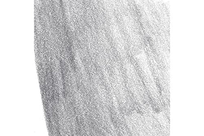 Faber-Castell Polychromos Artists' Single Pencil - Colour 235 Cold Grey VI - color: Cold Grey VI
