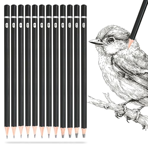 SAYEEC Professional Drawing Sketching Pencil Set, 12 Pieces Graphite Pencils (14B-4H), Art Sketch Pencils with Metal Case Artist Pencil for Drawing Art, Sketching, Shading, Adults Beginners (Black)