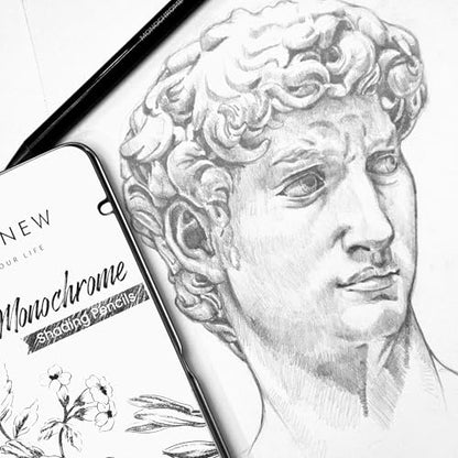 Altenew Monochrome Shading Pencils, 5 Woodless Graphite Pencils for Drawing, Sketching, Shading, Art Pencils 2H, HB, 4B, 6B, 10B with Metal Case
