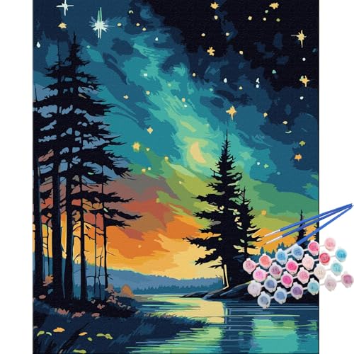 TOCARE Aurora Paint by Numbers Kit for Adults,Aurora Borealis Adult Paint by Number Canvas Kit,Northern Lights Adults' Paint-by-Number Kits Nature Scenery 16x20inch (Without Framed) - color: TC-OPC-153