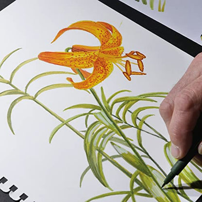 Koh-I-Noor 11" x 14" Pen Paper Bright White Smooth Paper Pad with Ink Block Panel, 80 lb. / 118 GSM, 60 Sheets/Pad, 6-Pack - size: 11" x 14"