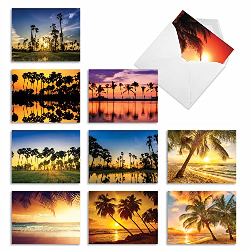 The Best Card Company - Box of 10 All Occasion Cards Blank (4 x 5.12 Inch) - Scenic Landscape Cards Assorted - Palm Beaches M6457OCB-NB - style: Palm Beaches