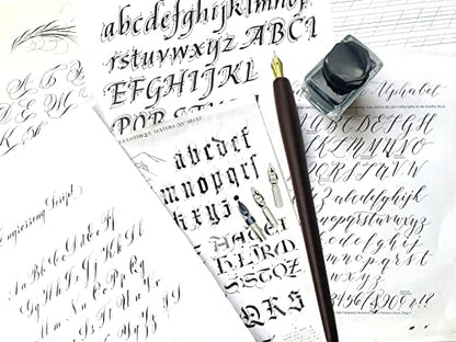 Plotube Wooden Pen Calligraphy Set - Dip Pen Gift Writing Case - Black Ink Bottle & Golden Holder & 11 Nibs and Beginner's Manual - color: Black