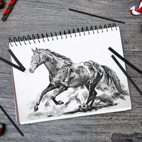 PANDAFLY Willow Charcoal Sticks, Soft, 4-5mm, 25 Pack, Black Artist Vine Charcoal, For Artists, Beginners, Students, Ideal for Sketching, Drawing, Shading, Fine Art - size: 4-5mm