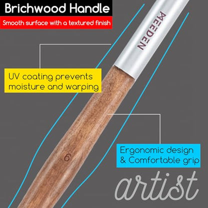MEEDEN Artist Oil Paint Brush Set: 10 Pcs Hog Bristle Art Paint Brushes - Professional Oil Paint Brushes with Wood Long Handle - Perfect for Adults Canvas Painting