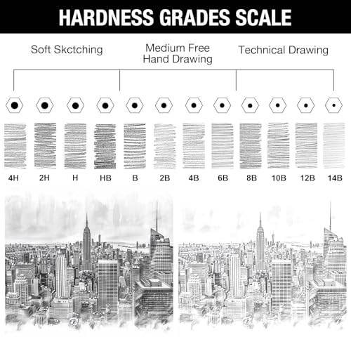 SAYEEC Professional Drawing Sketching Pencil Set, 12 Pieces Graphite Pencils (14B-4H), Art Sketch Pencils with Metal Case Artist Pencil for Drawing Art, Sketching, Shading, Adults Beginners (Black)