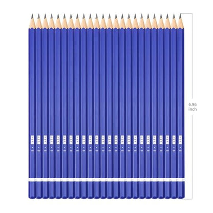 XDT#B Drawing Pencils 24 Piece Set, Pro Art Graphite Sketching&Shading Supplies, Ideal For Kid Beginner Student Adults Artist - color: B 29 Pc Set