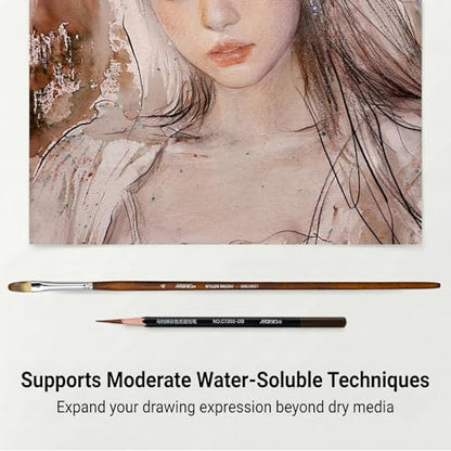 Marie's Professional Charcoal Drawing Set - Premium Artist Sketching Pencils for Portraits & Fine Art - Ideal for Professional Artists & Studio Creation(Red Brown) - style: Red Brown (10pcs)