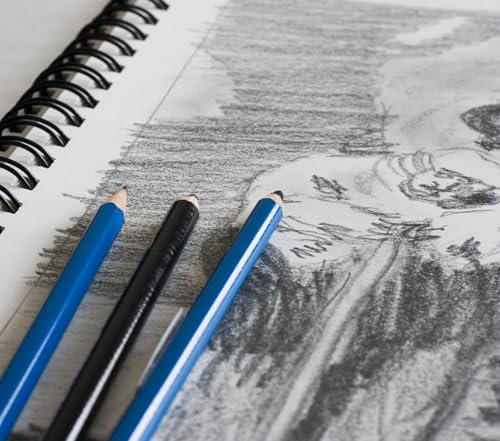 GIFTEXPRESS 8.5" x 11" Sketch Book - Unlined Blank Spiral Wire Bound Drawing Notebook 60 Pages, 30 Sheets - 80 GSM Acid Free Paper Art Journal Supplies for Kids & Adults