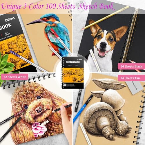176PCS Art Supplies Sketching Kit, 34 Double Tip Brush Pens Art Markers
