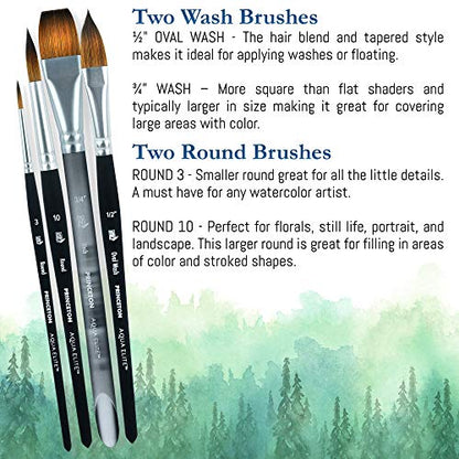 Princeton Artist Brush Co Aqua Elite 4850 Series - 4pc Watercolor Brush Set - Synthetic Watercolor Brushes Professional Kolinsky Sable Brushes - 1/2” Oval Wash, 3/4" Wash, Round 3 & Round 10