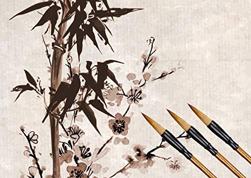 Befiy Chinese Calligraphy Brush, Writing Drawing Watercolor Ink Brushes Hubi Painting Kanji Sumi Wolf Bamboo Brushes Set for Professional Beginner (Green) - color: Green