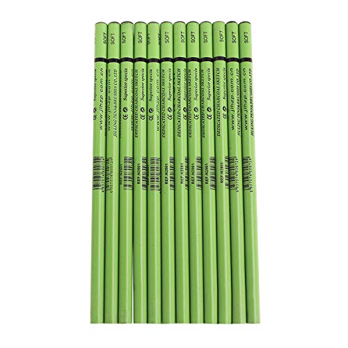 12pcs Soft Charcoal Pencil Set for Drawing,Sketching, Shading,Black Graphite Pencil Sticks,Back to School Stationery Gift for Artist, Hobbyist,Beginner - color: 12pcs*Soft