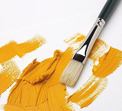 Winsor & Newton Winton Oil Brush, Long Handle, 5 pack - style: 5 Pack - Short Handle