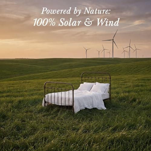 Threadmill Egyptian Cotton Queen Sheet Set | 100% Certified Egyptian Cotton Sheets for Queen Size Bed | Queen Bed Sheets Set with Snug Fit 16" Deep Pocket | Soft Cooling Sateen Bedding Set | White - color: Bright White Solid, size: Queen