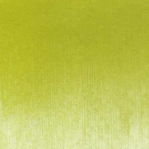 PanPastel Artist Pastels by GOLDEN, Hansa Yellow Shade, 2.44” / 62mm Pan Diameter, Professional Artist Pastels, Unique Pan Format (cake-like) - color: Hansa Yellow Shade, size: 1 Count (Pack of 1)