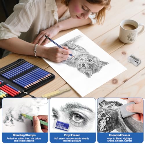 25 Pack Sketching Pencil Set with Cartoon Case, Graphite Drawing Pencils Kit with Charcoal, Blending Stumps & Erasers, Professional Art Supplies for Artists, Beginners, Shading