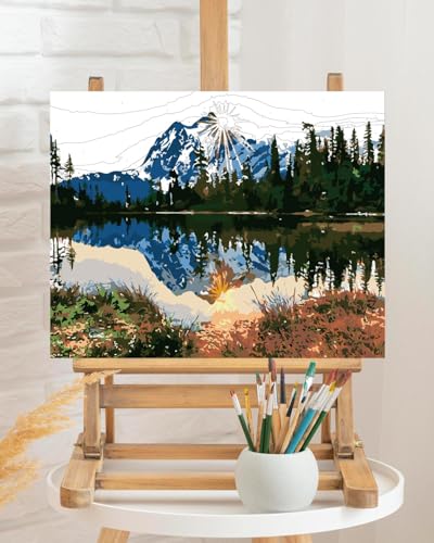 TOCARE Mountains Paint by Numbers Kit for Adults Nature,Adult Paint by Number Mountain Lake,Acrylic Adults' Paint-by-Number Kits Canvas 16x20Inch - color: Mountain Lake