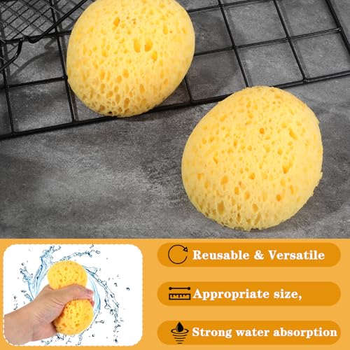 Mabor 2Pcs Texture Sponges, Sponge for Patch/Repair Ceiling Drywall Wall | Round Clay Sponges for Pottery, DIY Painting Ceiling Wall Texture
