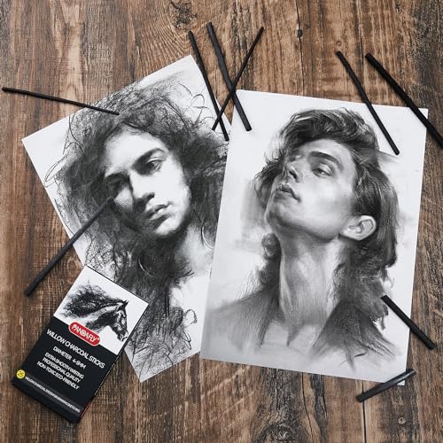 PANDAFLY Willow Charcoal Sticks, Soft, 4-5mm, 25 Pack, Black Artist Vine Charcoal, For Artists, Beginners, Students, Ideal for Sketching, Drawing, Shading, Fine Art - size: 4-5mm