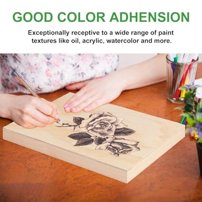 6 Pack 11 x 14 Inch Unfinished Wood Panels, Wooden Panel Boards for Painting, Crafts, and Home Decor - size: 6 Pack 11 x 14 Inch