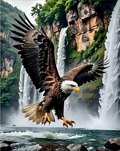 askkqtx Eagle Paint by Numbers Kit for Adults, DIY Waterfall Paint by Numbers for Beginner, Watercolor Oil Painting by Number on Canvas for Home Decor and Gifts 16x20 Inch - color: Eagle - MT21928