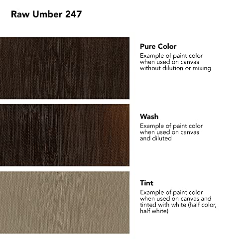 Daler-Rowney Georgian Oil Colours raw Umber 225 ml