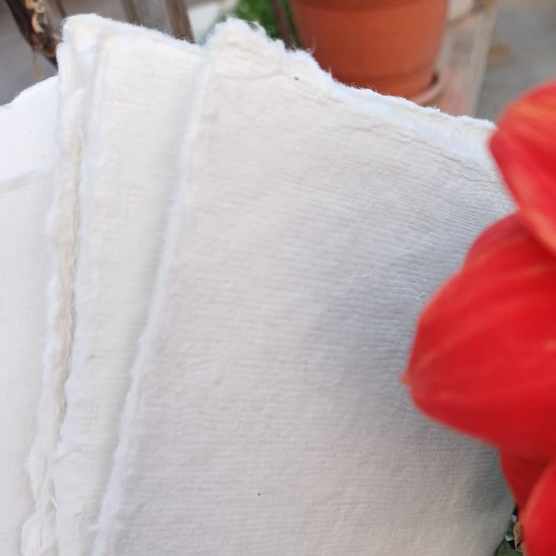 5x7 inches- 400 GSM / 25 Sheets-Rough/Textured Drawing/Sketching Paper- Handmade/Deckle Edge Paper Made from Virgin Egyptian Cotton - Off-White by Deckle Papers - size: 5x7"