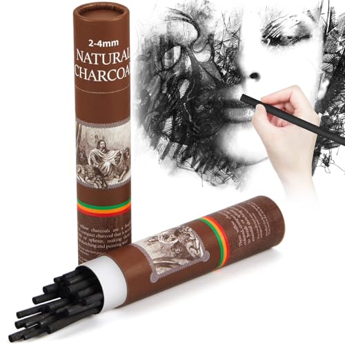 Gueevin 25 Pcs Willow Charcoal Sticks, Willow Charcoal, Artists, Beginners, Students, Perfect for Sketching, Drawing, Shading, and Fine Back to School Christmas Art Gifts (2-4mm) - size: 2-4mm